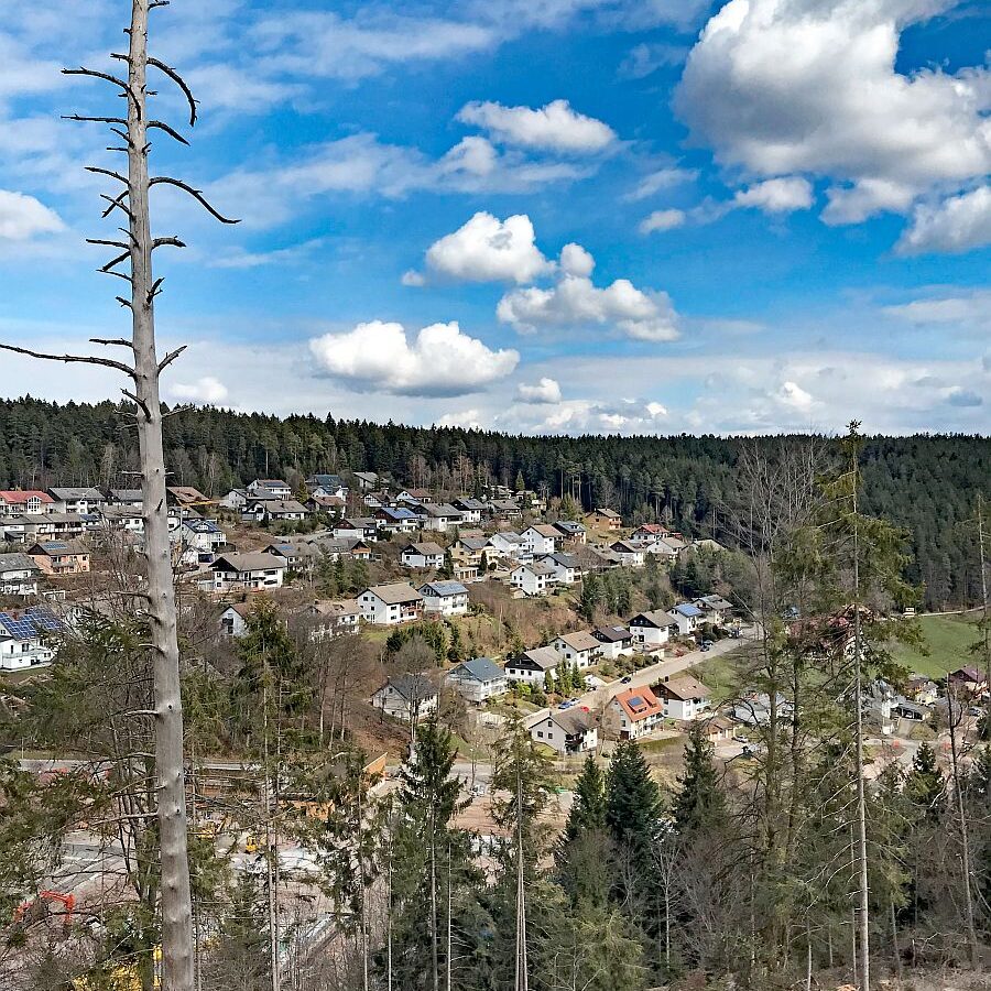 Wanderung von Schramberg ueber Reute Purpen Remsbach nach Tennenbronn 10