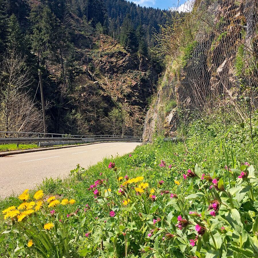 2022 Bernecktalstrasse waehrend Sperrung 01