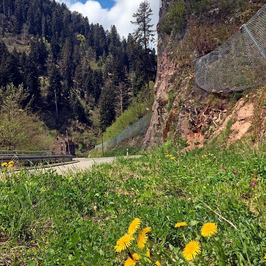 2022 Bernecktalstrasse waehrend Sperrung 03