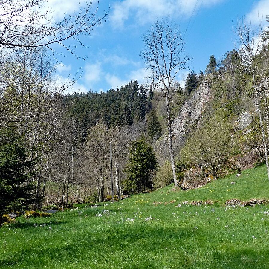 2022 Bernecktalstrasse waehrend Sperrung 06