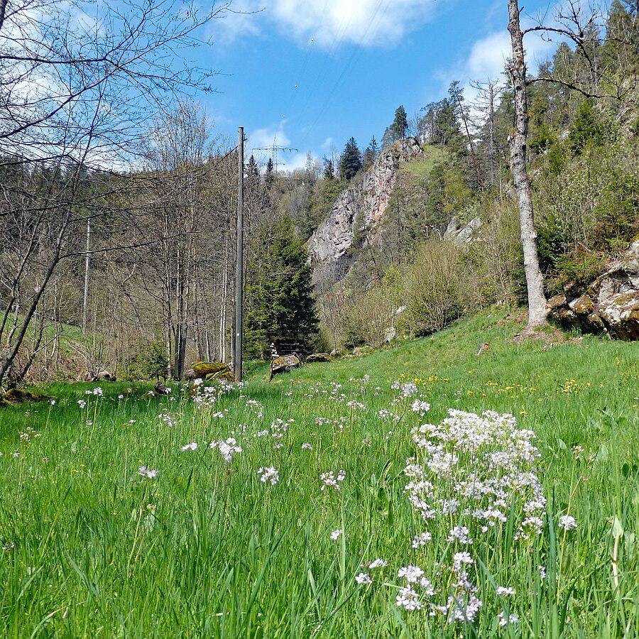 2022 Bernecktalstrasse waehrend Sperrung 07