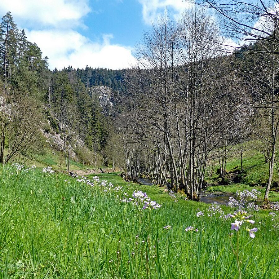 2022 Bernecktalstrasse waehrend Sperrung 08