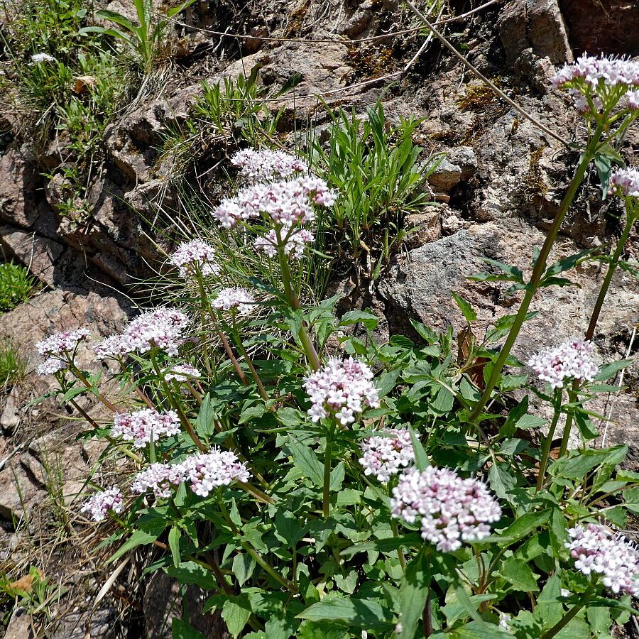2022 Bernecktalstrasse waehrend Sperrung 14