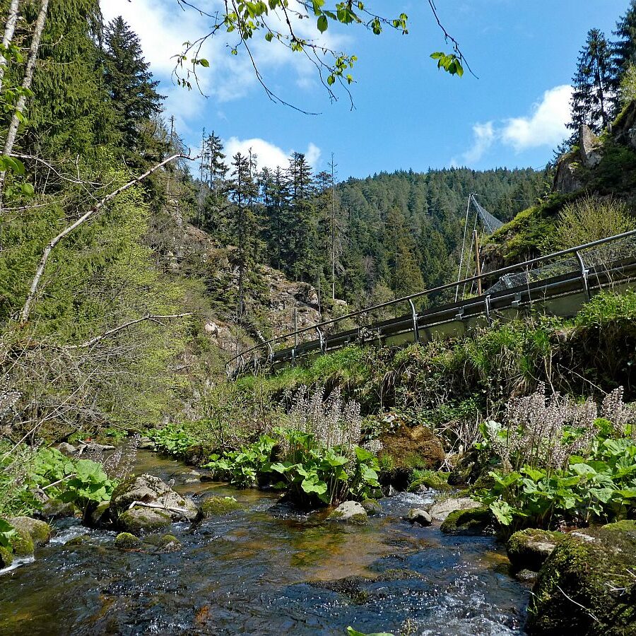 2022 Bernecktalstrasse waehrend Sperrung 18