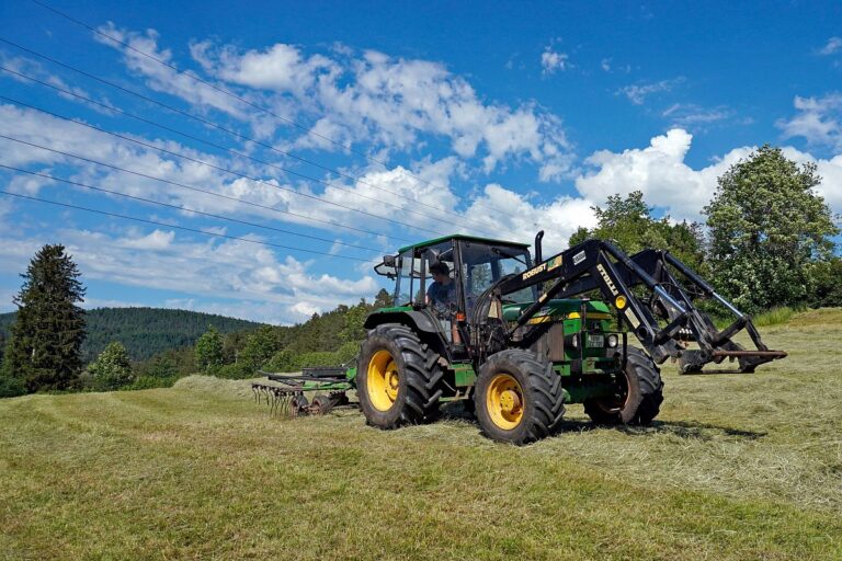 Heuernte in Tennenbronn am Schliefenbuehl 03