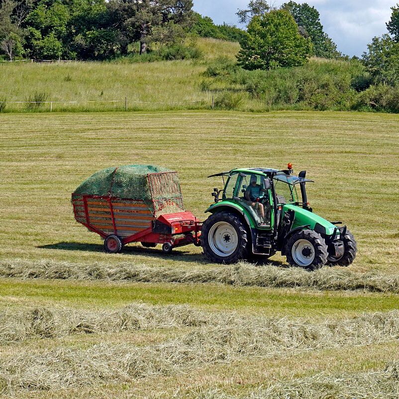 Heuernte in Tennenbronn am Schliefenbuehl 05