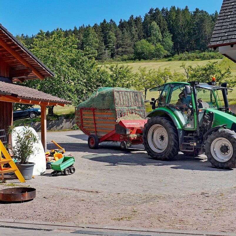 Heuernte in Tennenbronn am Schliefenbuehl 06