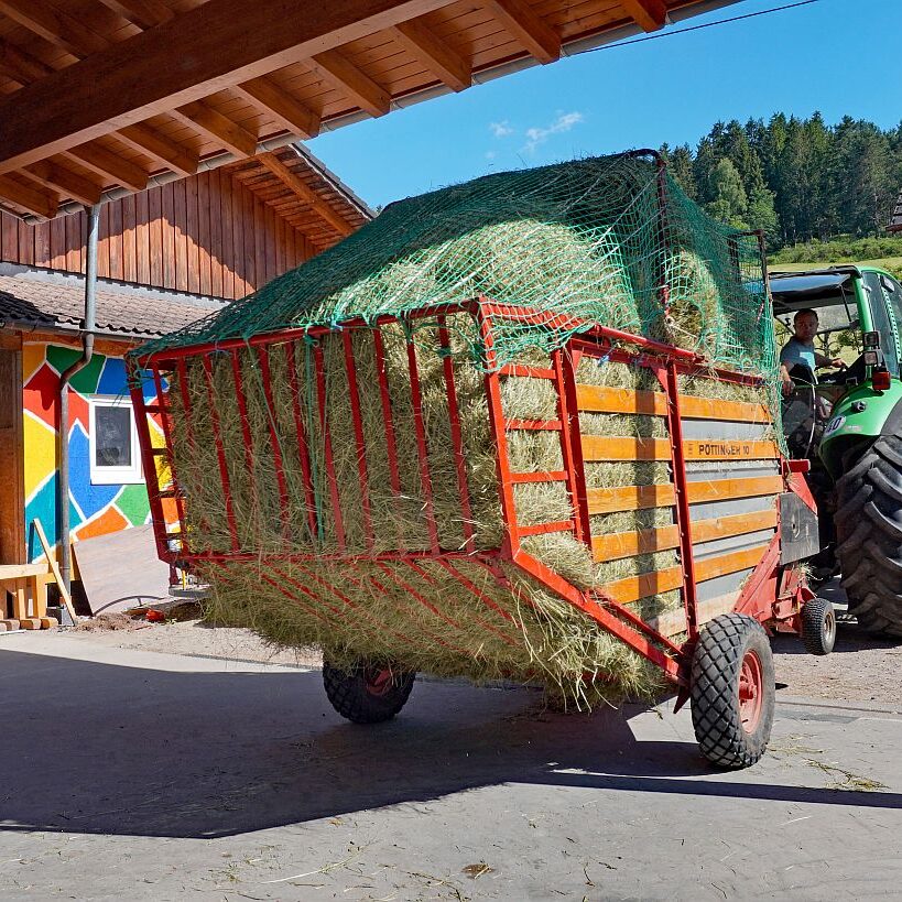Heuernte in Tennenbronn am Schliefenbuehl 07