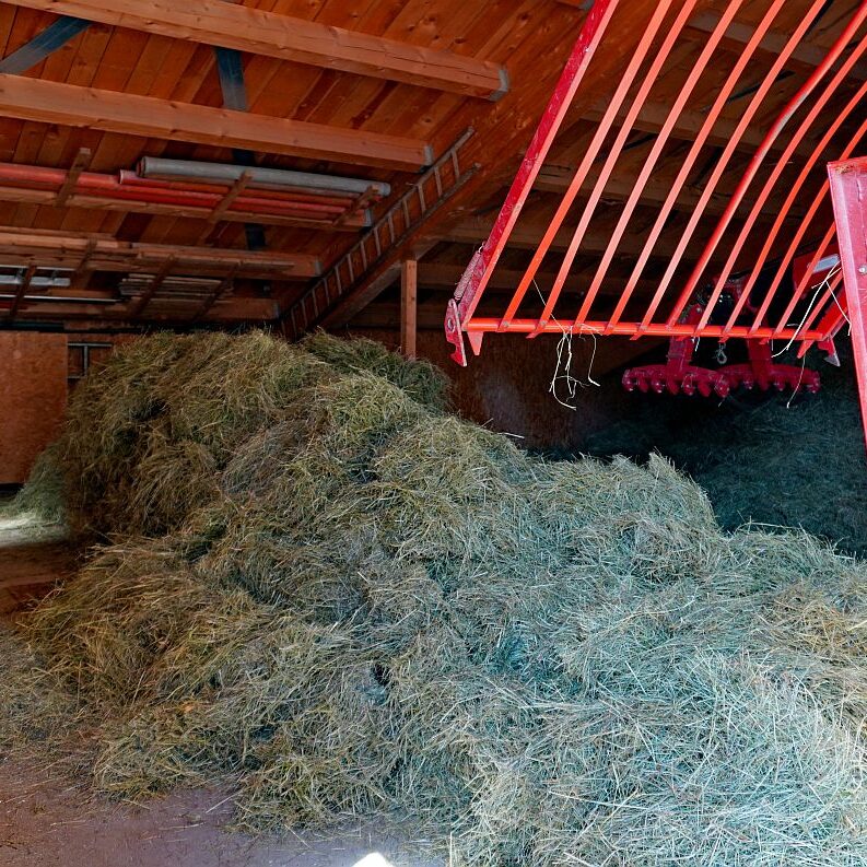 Heuernte in Tennenbronn am Schliefenbuehl 10