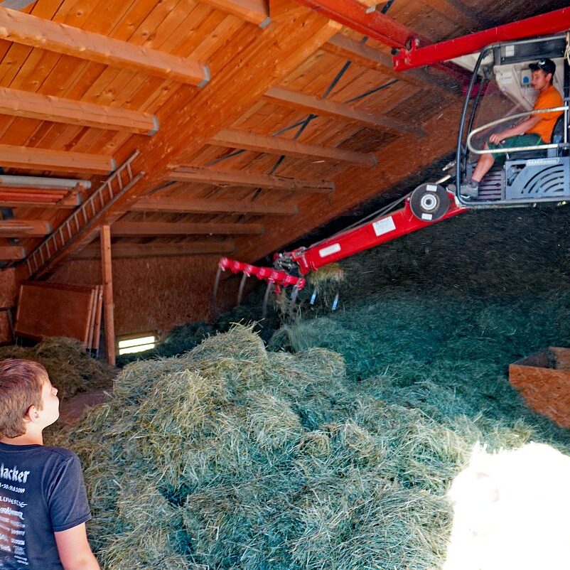 Heuernte in Tennenbronn am Schliefenbuehl 12