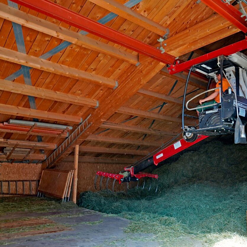 Heuernte in Tennenbronn am Schliefenbuehl 14