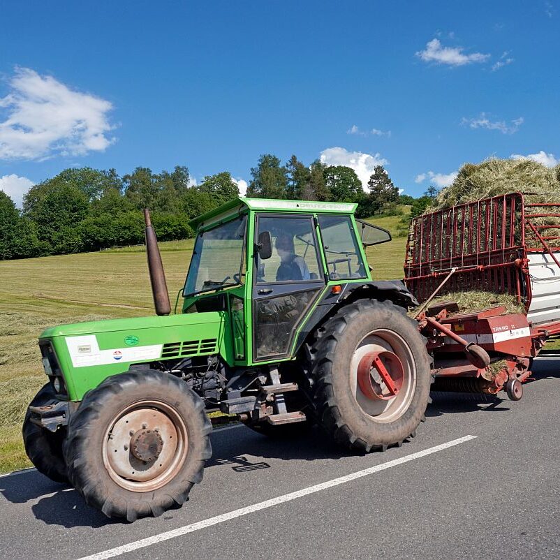 Heuernte in Tennenbronn am Schliefenbuehl 15