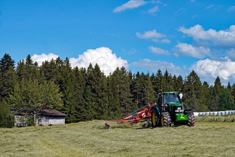 Heuernte in Tennenbronn am Schliefenbuehl 16