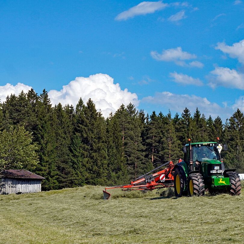 Heuernte in Tennenbronn am Schliefenbuehl 16
