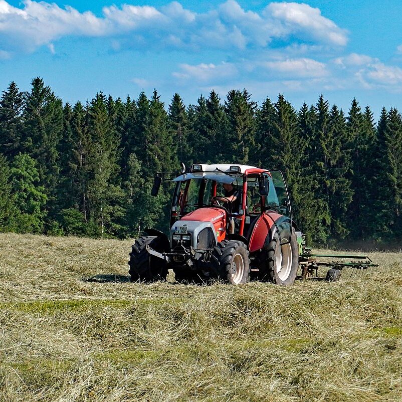 Heuernte in Tennenbronn am Schliefenbuehl 20