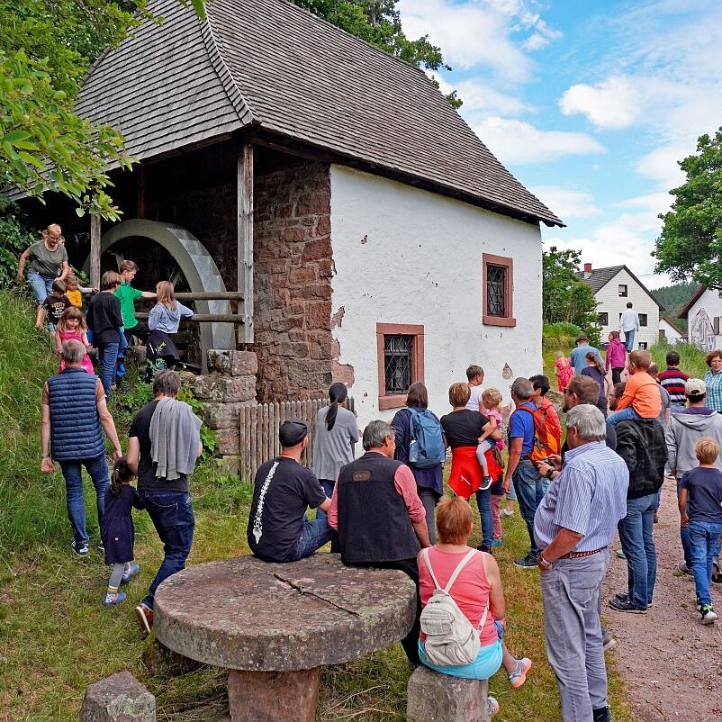 Schwarzwaldmuehle mit Bauer Anton Tennenbronn 07