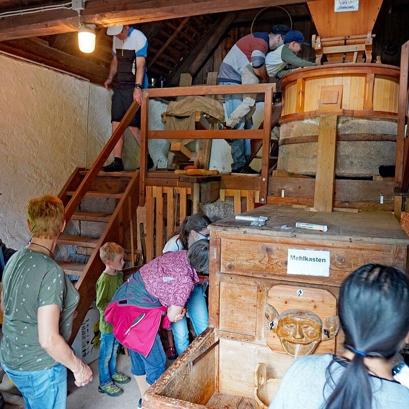 Schwarzwaldmuehle mit Bauer Anton Tennenbronn 10