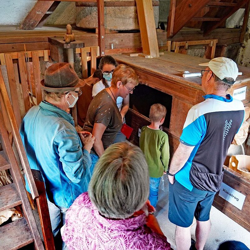 Schwarzwaldmuehle mit Bauer Anton Tennenbronn 13