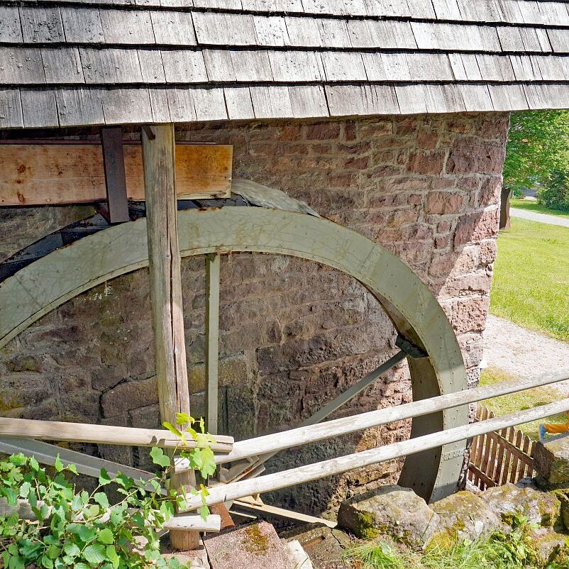 Schwarzwaldmuehle mit Bauer Anton Tennenbronn 17