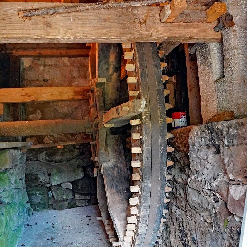 Schwarzwaldmuehle mit Bauer Anton Tennenbronn 19