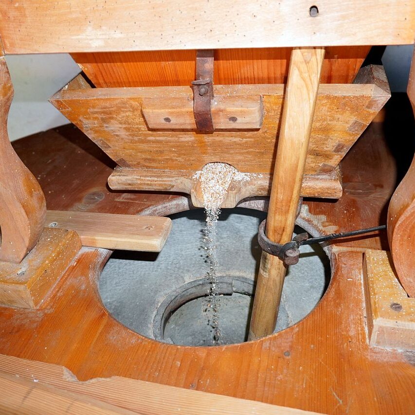 Schwarzwaldmuehle mit Bauer Anton Tennenbronn 20