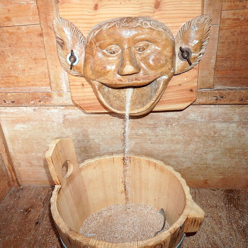 Schwarzwaldmuehle mit Bauer Anton Tennenbronn 21