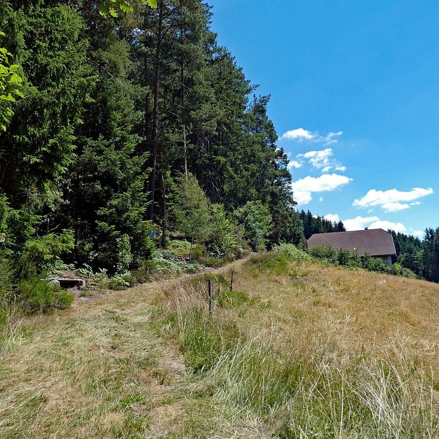 Schmetterlingspfad Tennenbronn 18