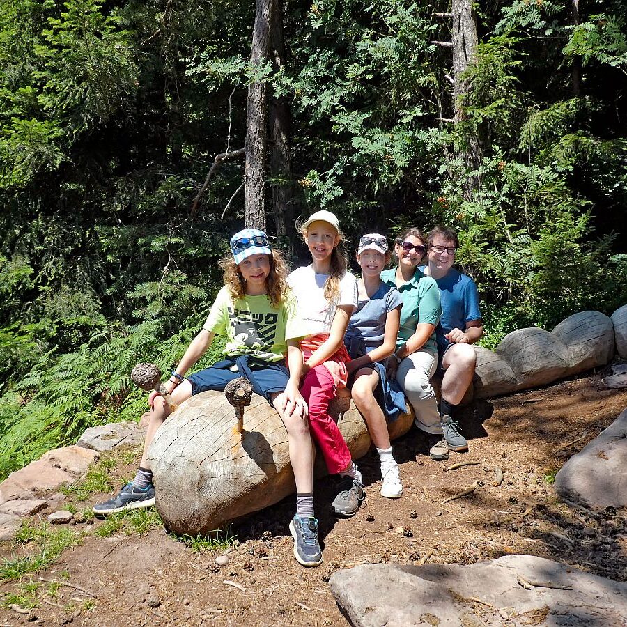 Schmetterlingspfad Tennenbronn 19