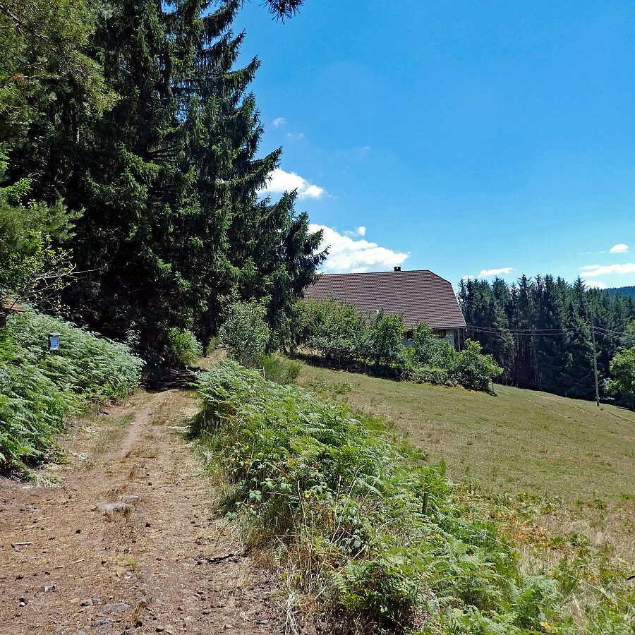 Schmetterlingspfad Tennenbronn 21