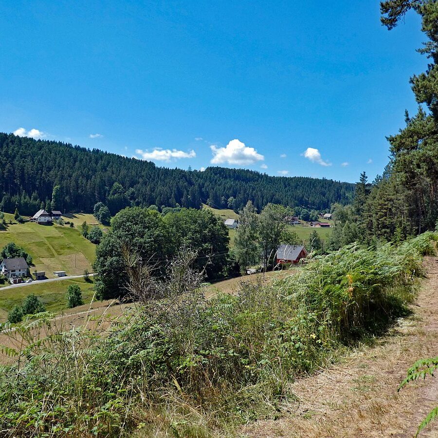 Schmetterlingspfad Tennenbronn 22