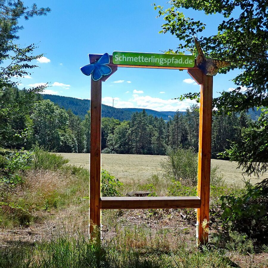 Schmetterlingspfad Tennenbronn 28