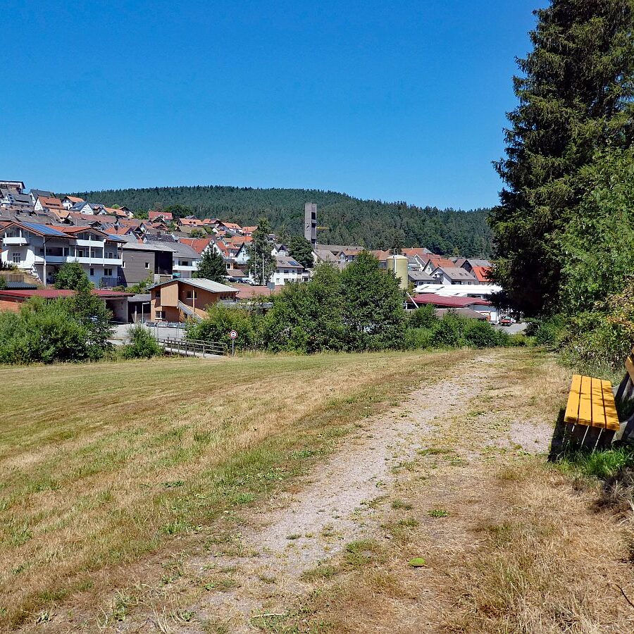 Vom See an der Schiltach entlang bis zum Gasthaus Bach Tennenbronn 04