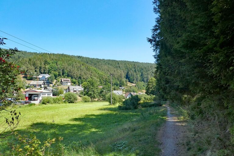 Vom See an der Schiltach entlang bis zum Gasthaus Bach Tennenbronn 09