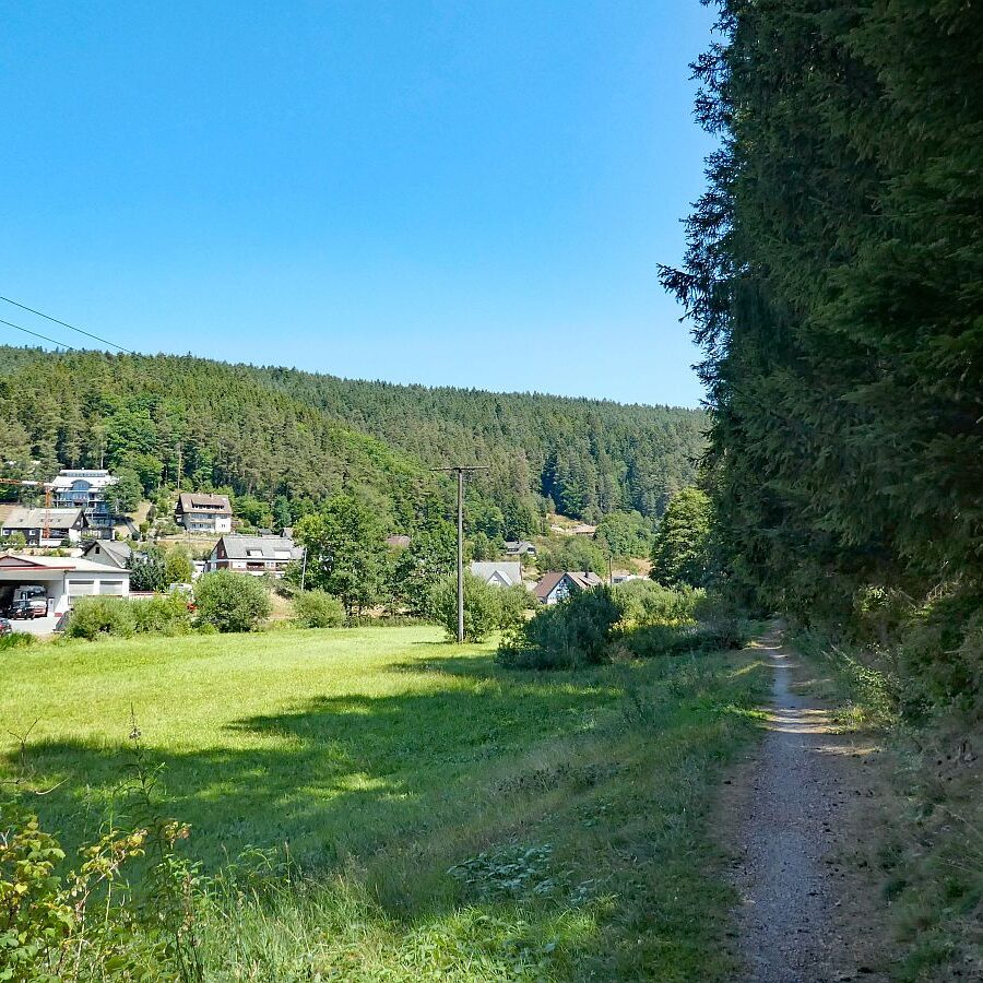 Vom See an der Schiltach entlang bis zum Gasthaus Bach Tennenbronn 09