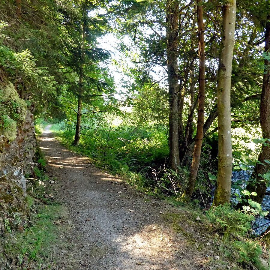 Vom See an der Schiltach entlang bis zum Gasthaus Bach Tennenbronn 10