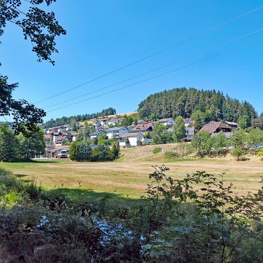 Vom See an der Schiltach entlang bis zum Gasthaus Bach Tennenbronn 11