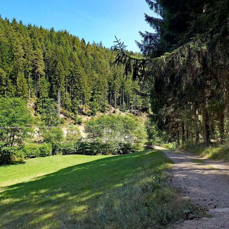 Vom See an der Schiltach entlang bis zum Gasthaus Bach Tennenbronn 13