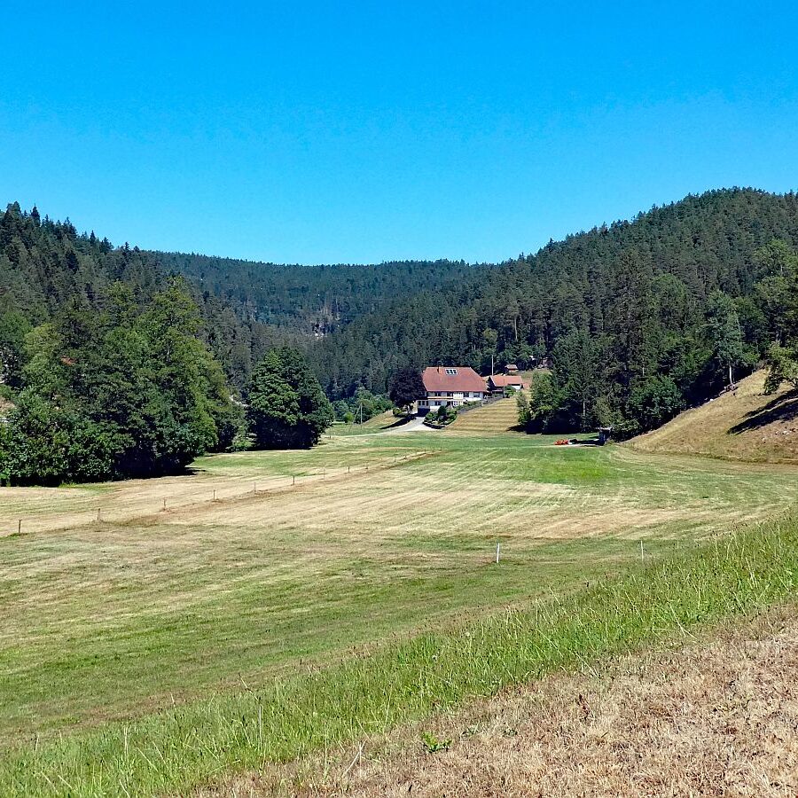 Vom See an der Schiltach entlang bis zum Gasthaus Bach Tennenbronn 16