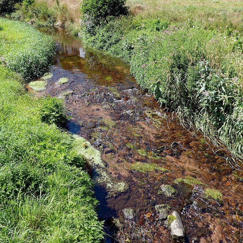 Vom See an der Schiltach entlang bis zum Gasthaus Bach Tennenbronn 20