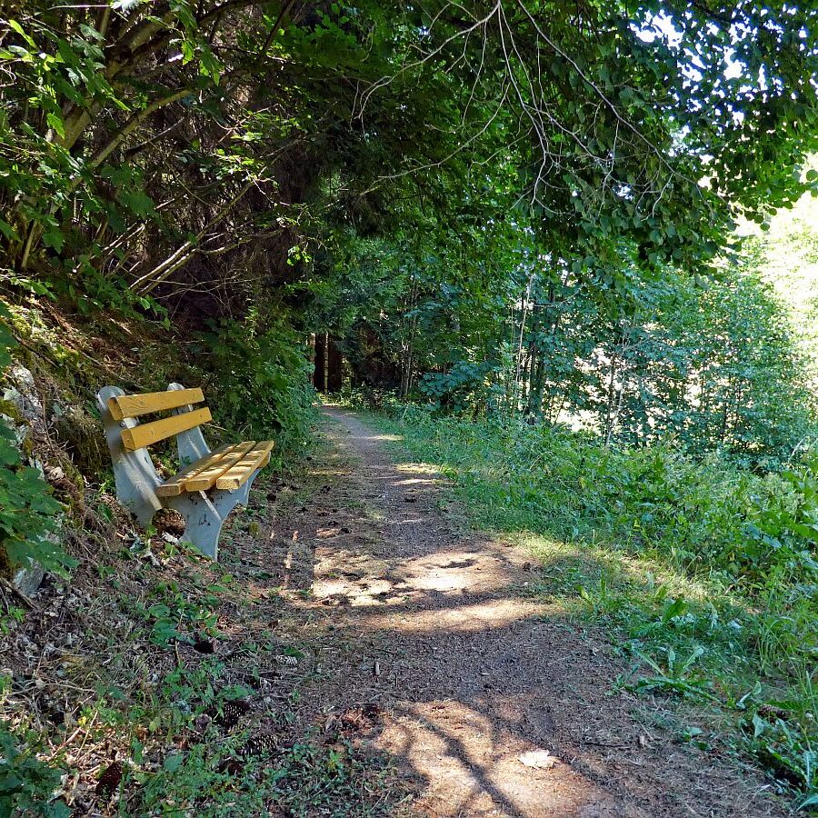 Vom See an der Schiltach entlang bis zum Gasthaus Bach Tennenbronn 22