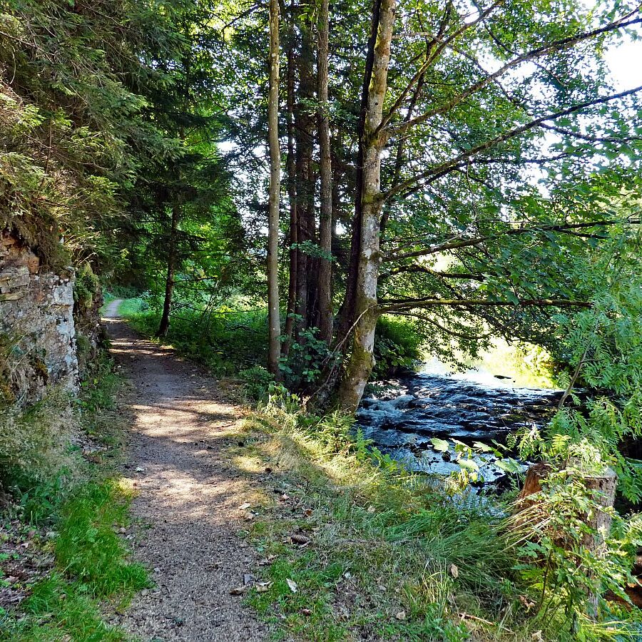 Vom See an der Schiltach entlang bis zum Gasthaus Bach Tennenbronn 26