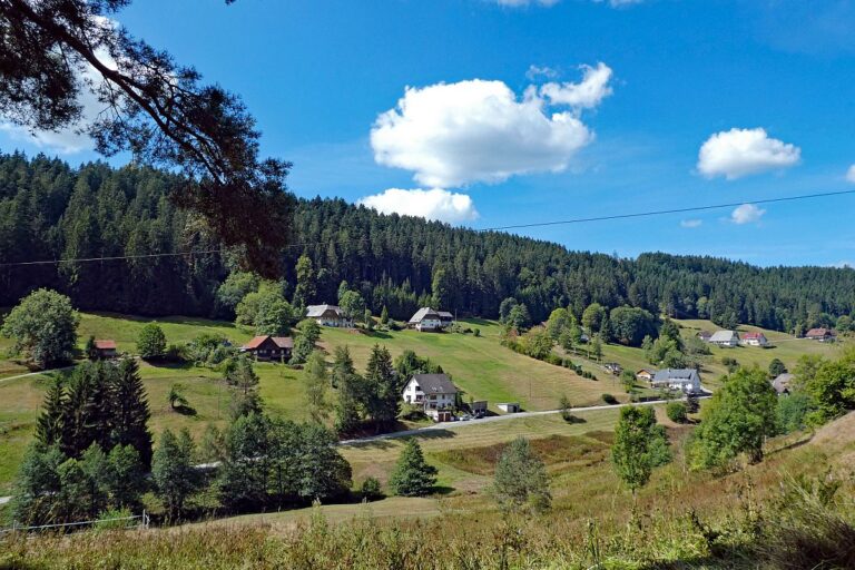 Durchs Eichbachtal und Gersbachtal 01