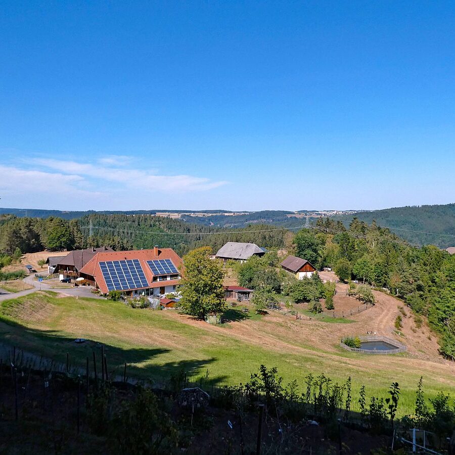 Ecke Trombach Bergkapelle Reute Ramstein 32