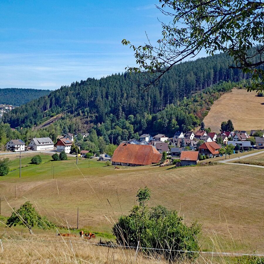 Schuetzen Kohlwald Prechtberg Brogen Buchenberg 01