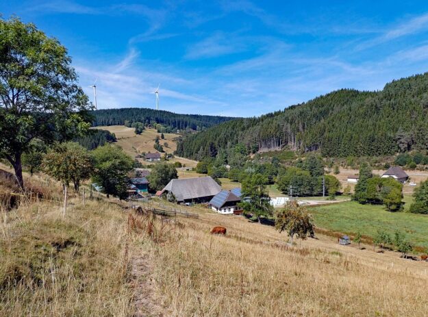 Schuetzen Kohlwald Prechtberg Brogen Buchenberg 02