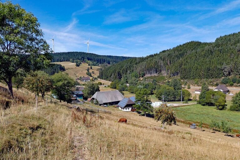 Schuetzen Kohlwald Prechtberg Brogen Buchenberg 02