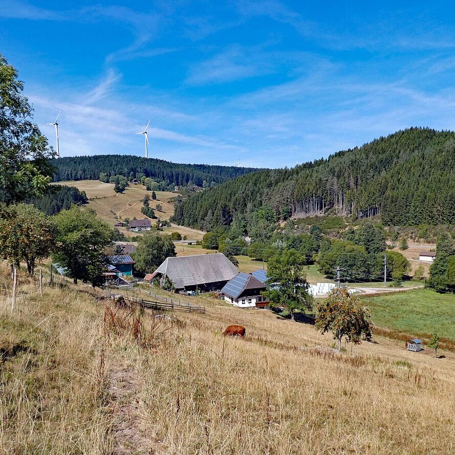 Schuetzen Kohlwald Prechtberg Brogen Buchenberg 02