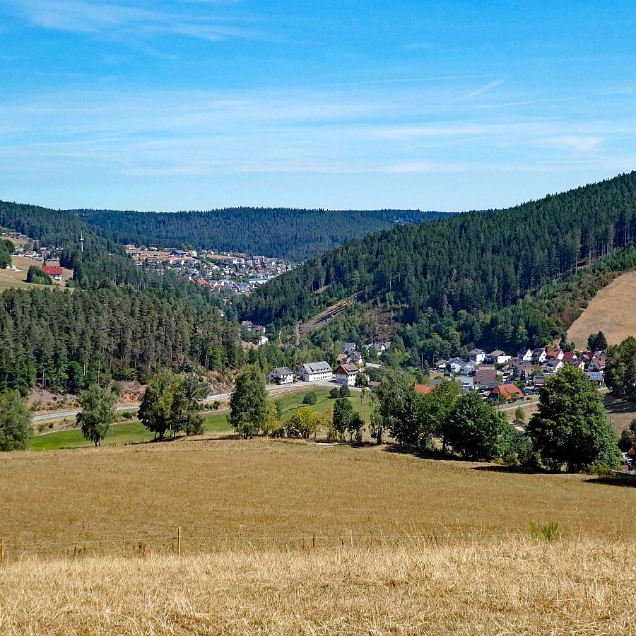 Schuetzen Kohlwald Prechtberg Brogen Buchenberg 03