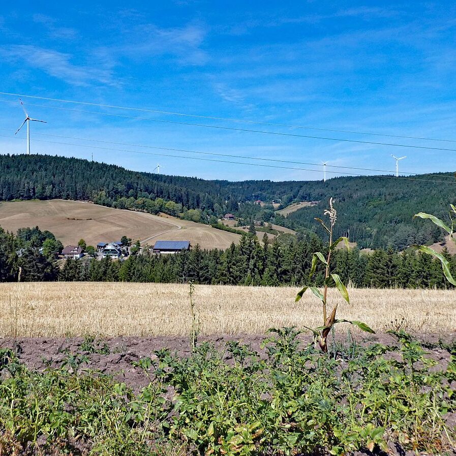Schuetzen Kohlwald Prechtberg Brogen Buchenberg 04
