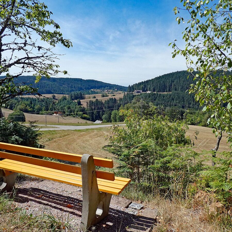 Schuetzen Kohlwald Prechtberg Brogen Buchenberg 05